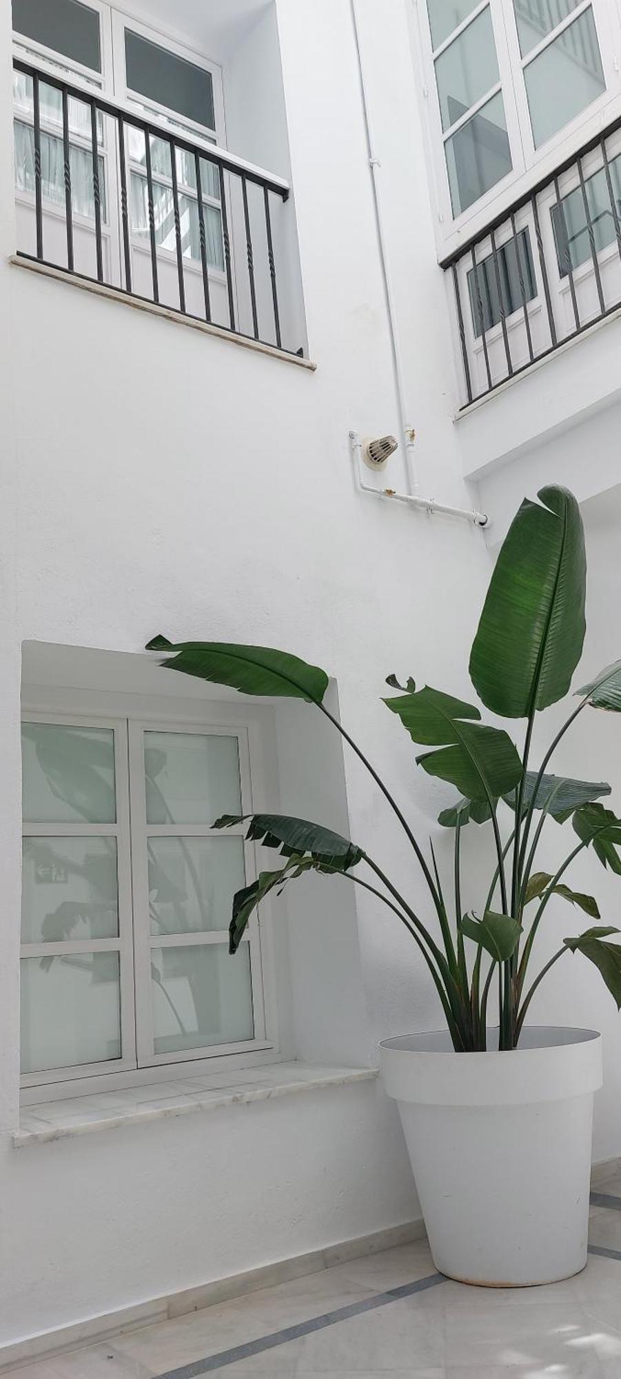 El 2 De Flamenco 2a Apartamento *
